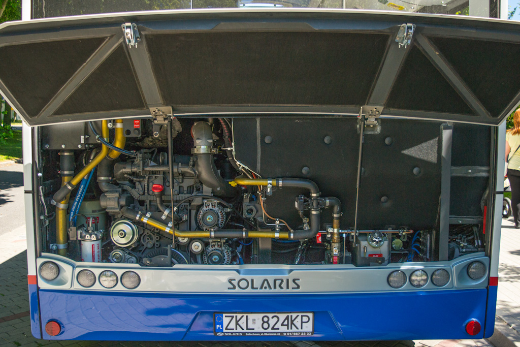 Solaris Urbino 12 #183