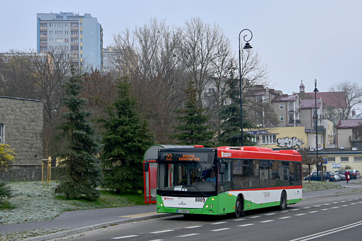 МАЗ 203058 #8009